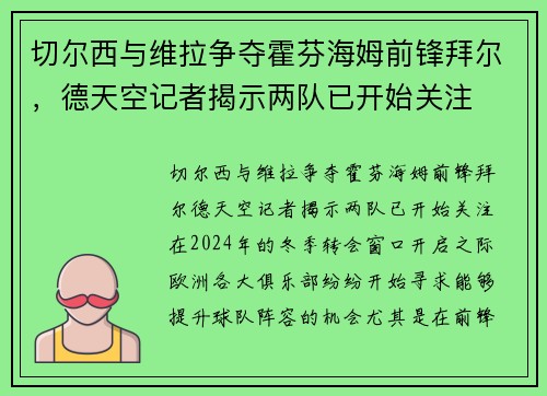切尔西与维拉争夺霍芬海姆前锋拜尔，德天空记者揭示两队已开始关注